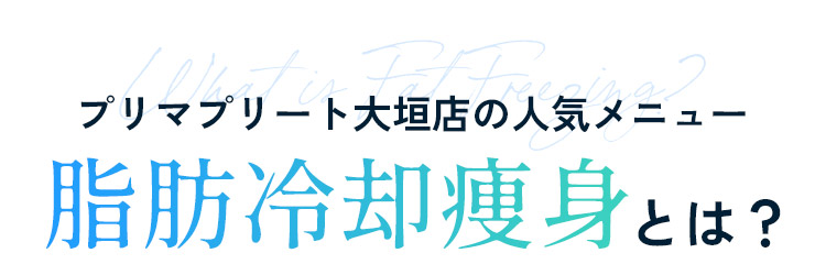 脂肪冷却痩身とは？